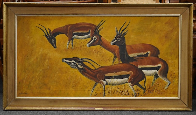 P. Quinlan (29th. C), oil on canvas, Gazelles, signed, 50 x 99cm. Condition - good, some minor scuffing